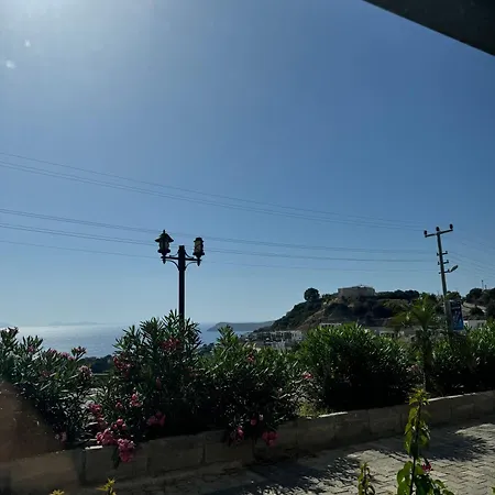 The Rest Port Argento *