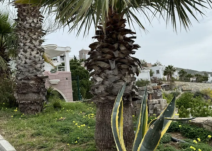 The Rest Port Argento *