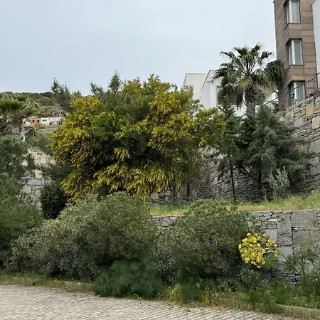 Hotel The Rest Port Argento *