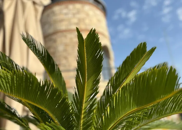 The Rest Port Argento